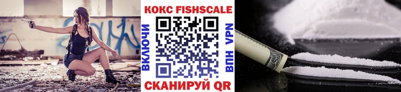 Cocaine FishScale  Купить закладки  Людиново 