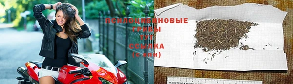 винт Инсар