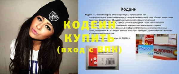 винт Инсар