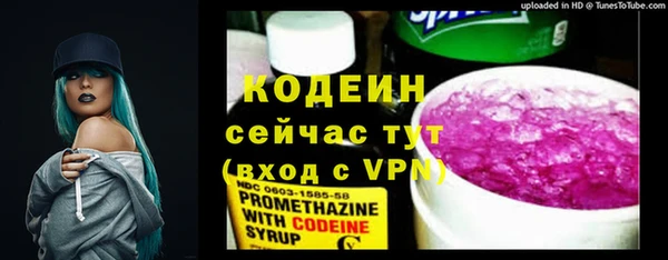 метадон Инта