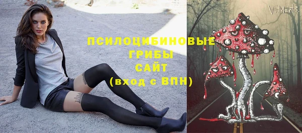 винт Инсар