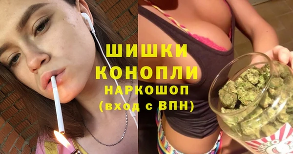 винт Инсар