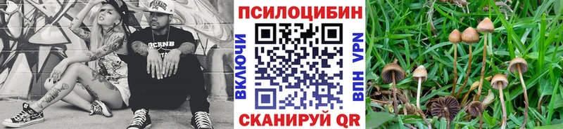 Галлюциногенные грибы GOLDEN TEACHER  Купить  Людиново 